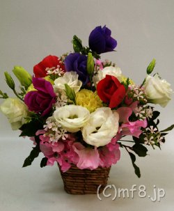 お祝い花/プレゼントの花