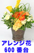 誕生日祝い花/バースデーフラワー