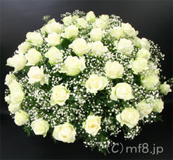 純白大輪バラの誕生日・御祝花