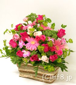 フラワーギフト/お祝い花/プレゼント花