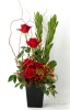 オープン祝い/赤い花のアレンジメント