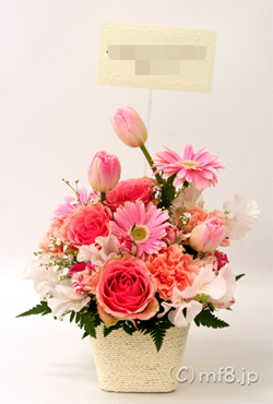 人気のプレゼント花/ピンク色の多岐にわたり喜ばれる花