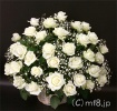 20000円以内/白いバラのアレンジメント