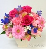 記念日のお祝い/ピンク系の花