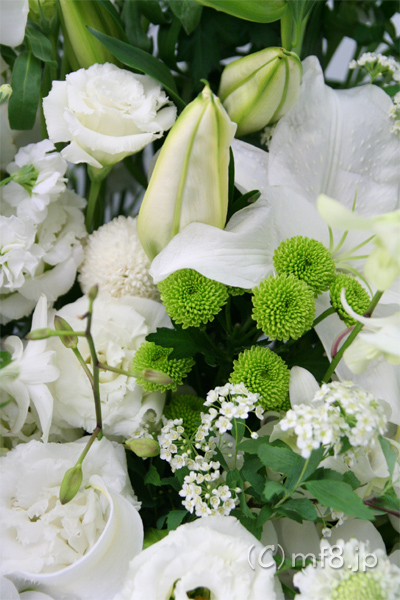 セレモニーホール・葬儀会館からご自宅へお持ち帰りの出来る供花