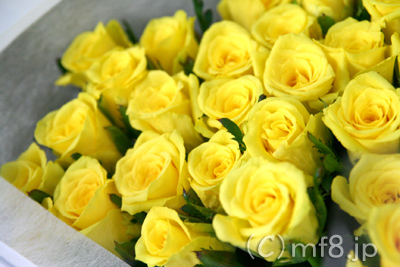 33歳の誕生日花束・黄色のバラ・ゴールドラッシュ