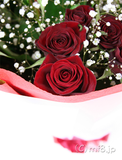 大人色の赤いバラを使った誕生日花束
