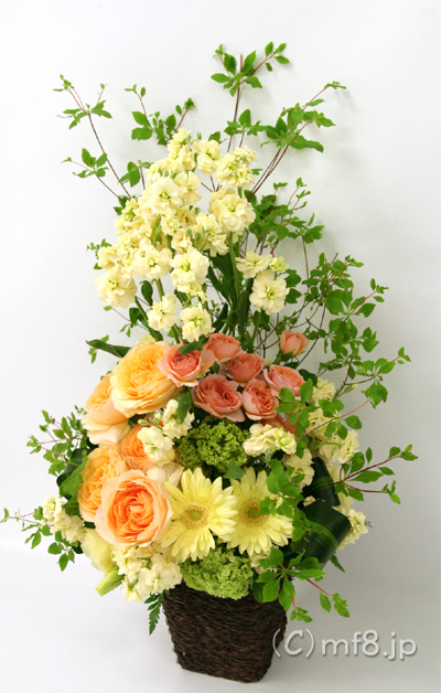 開店祝い花 色合い重視の花を即日宅配 当日配達 名古屋の花屋 丸の内フローラ