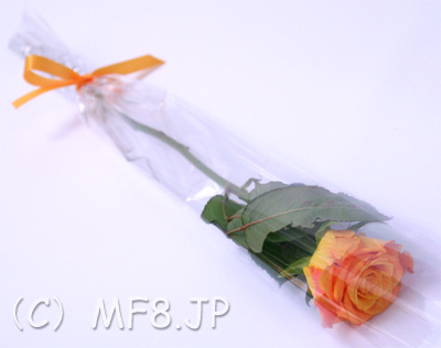 1本バラ 卒業式の花束 名古屋の花屋 丸の内フローラ
