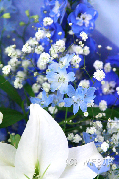 青い花の花束 名古屋の花屋 丸の内フローラ