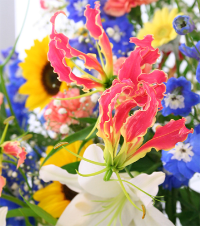 アパレルショップの開店祝い花