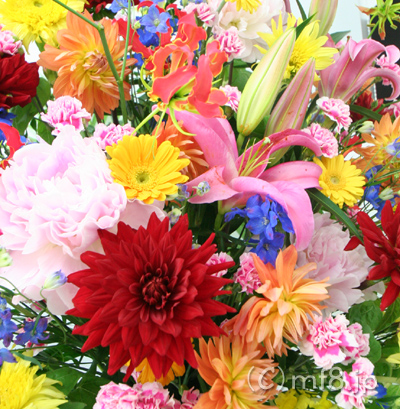 テレピアホール・芸術劇場・御園座など名古屋市各ホールにスタンド花を配達します